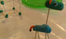 IMAG0844.jpg