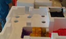 IMAG0878.jpg