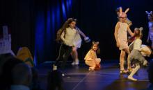 IMG_8531_1.jpg